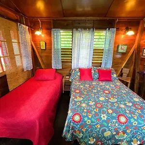 Auberge de jeunesse Judy House And, Negril